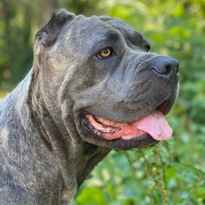 Meet your Posher, Eugenia